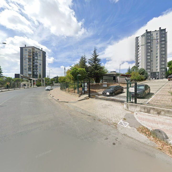 Fotoğraf 11