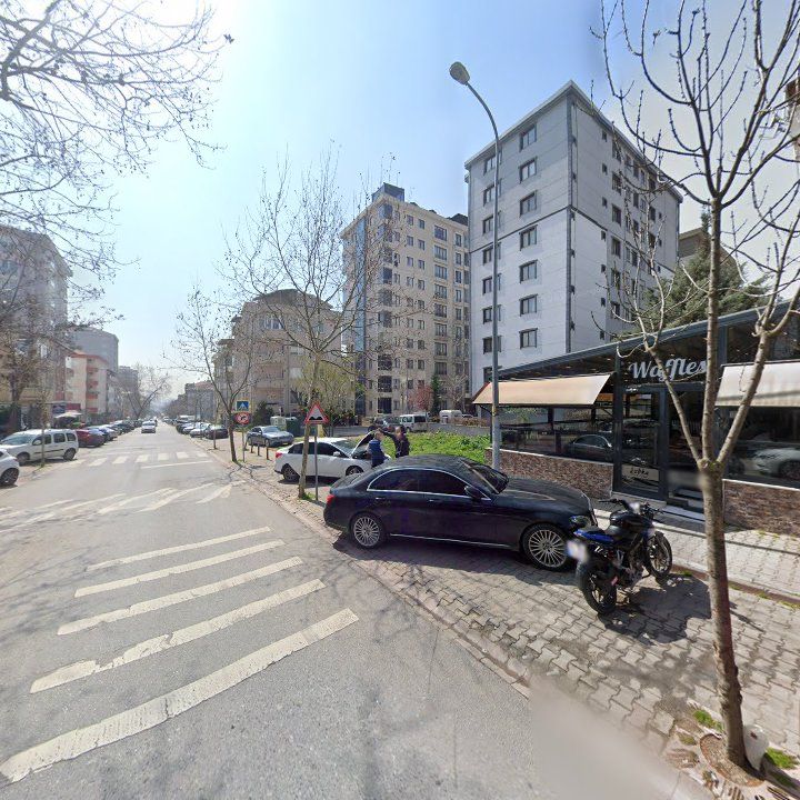 Fotoğraf 11