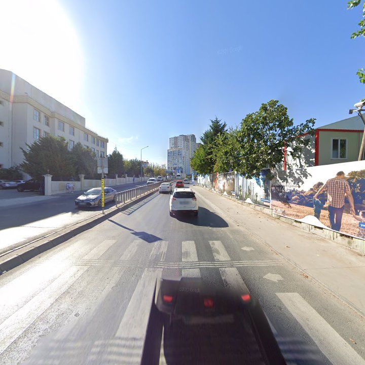 Fotoğraf 12