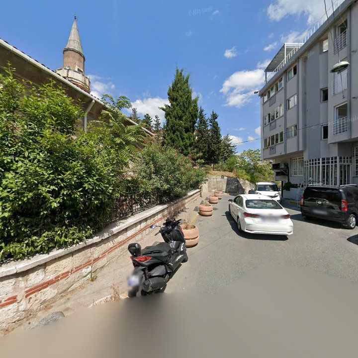 Fotoğraf 11