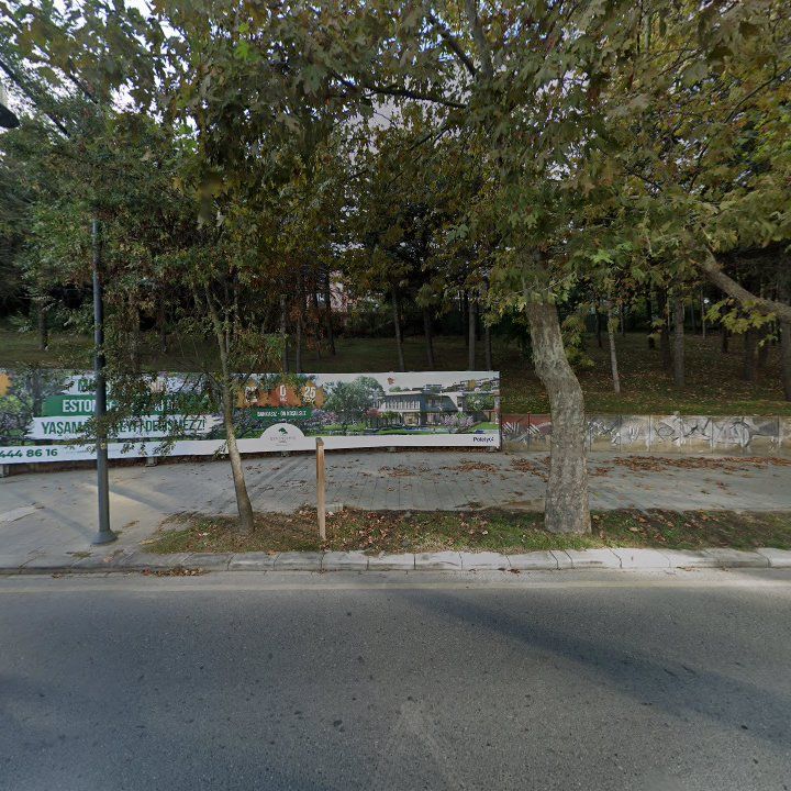 Fotoğraf 11