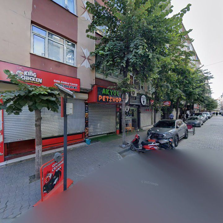 Fotoğraf 10