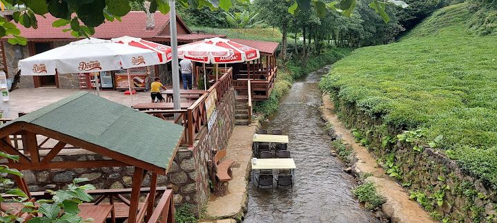 Patika Restorant