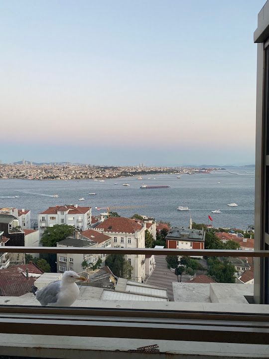 Yorum fotoğrafı 3