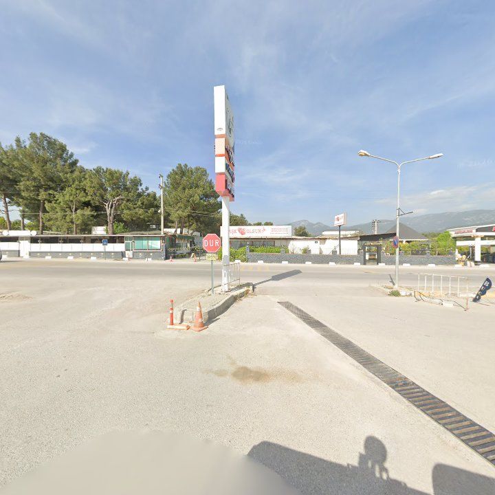 Fotoğraf 11