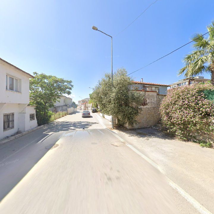 Fotoğraf 9