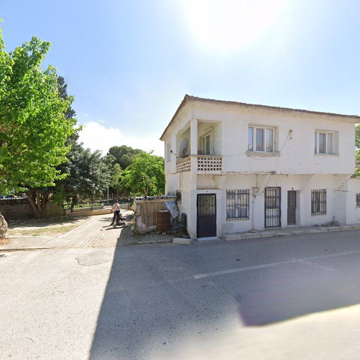 Fotoğraf 8