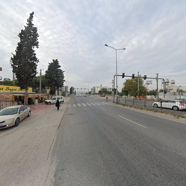 Fotoğraf 8