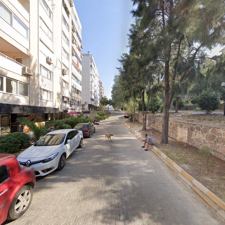 Fotoğraf 5