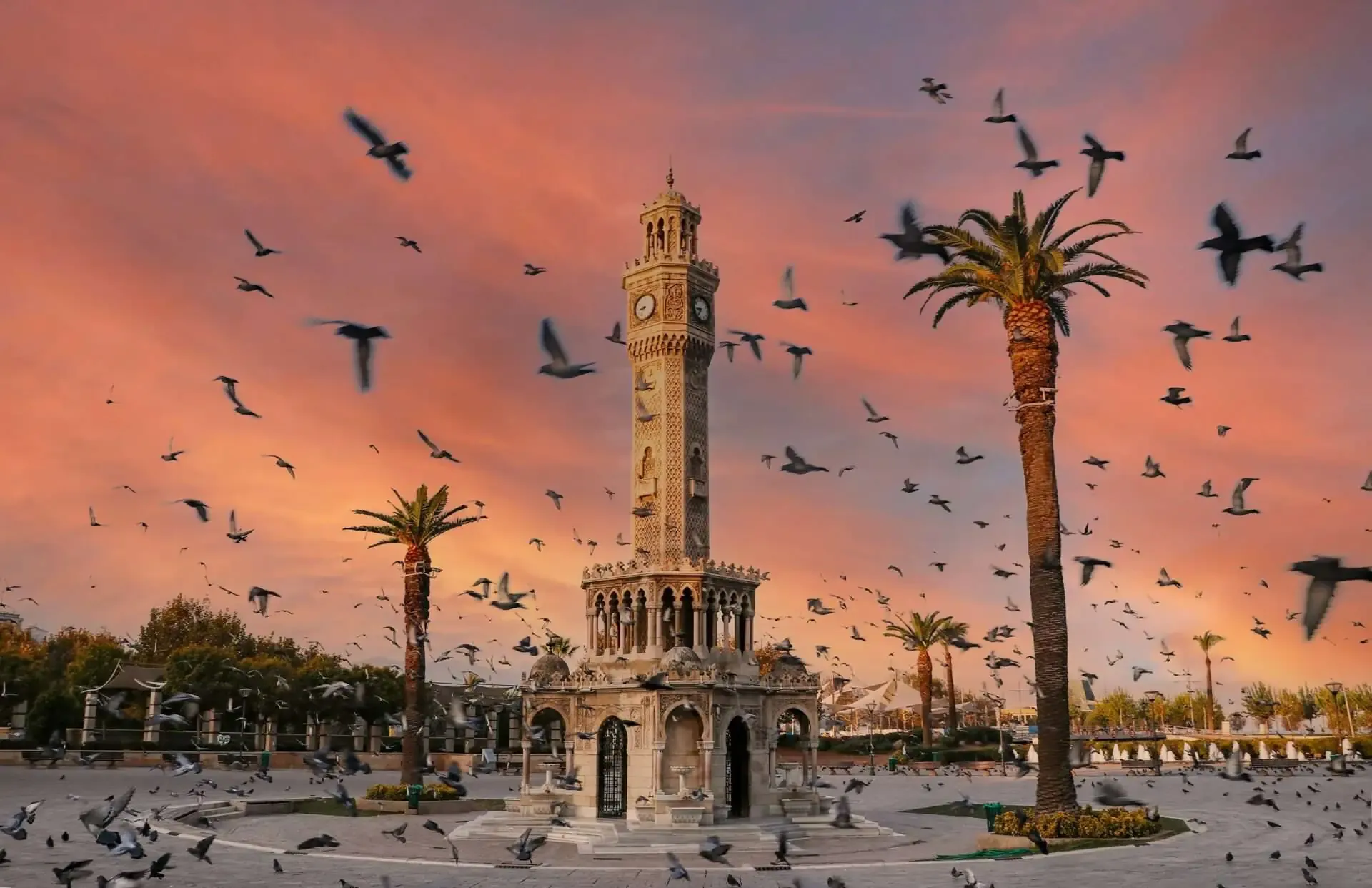 Aliağa