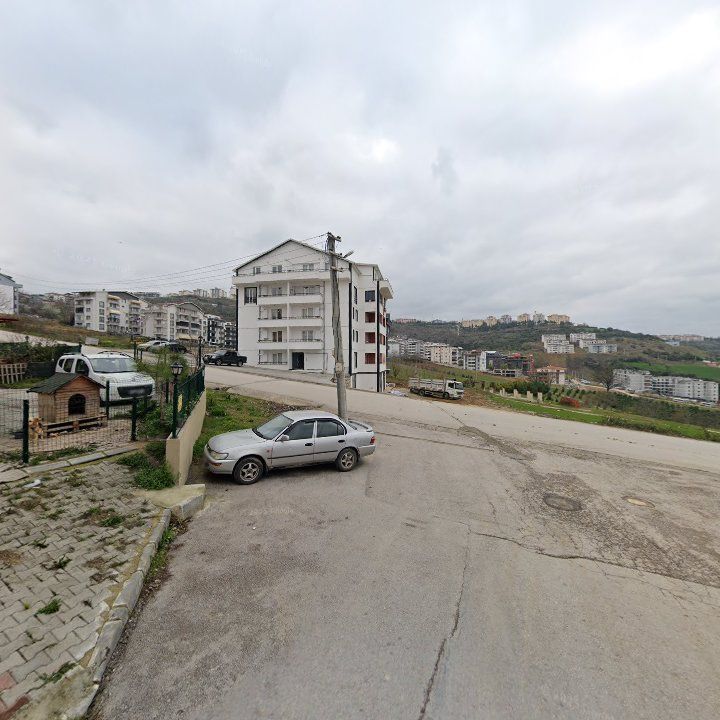 Fotoğraf 9