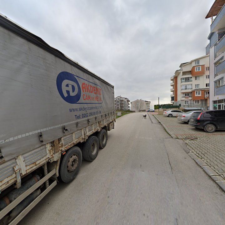 Fotoğraf 11
