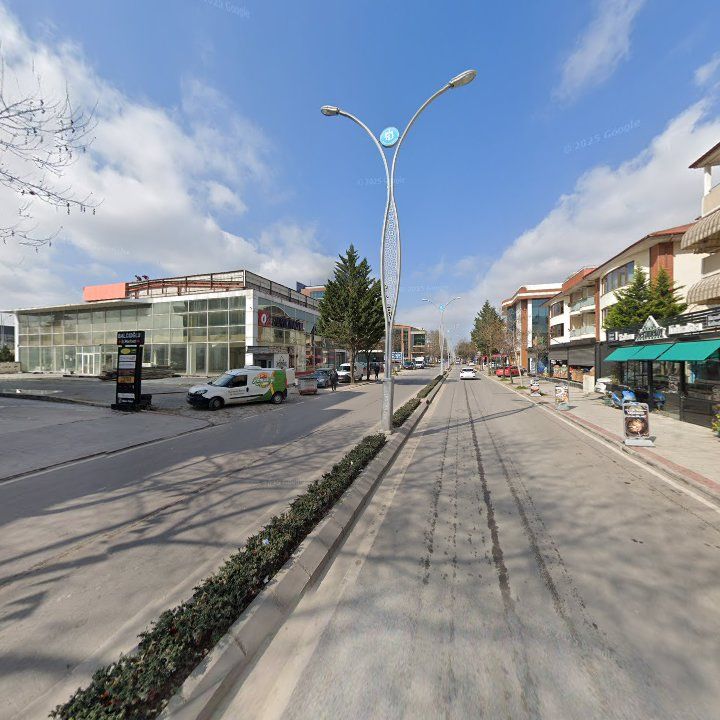 Fotoğraf 12