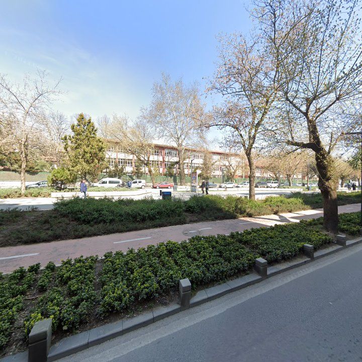 Fotoğraf 9