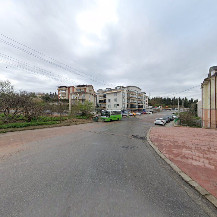 Fotoğraf 9