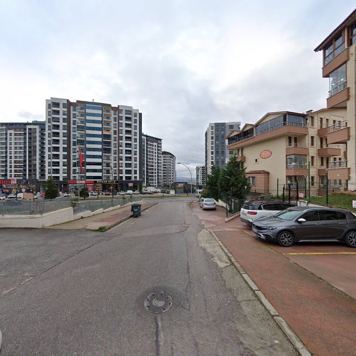 Fotoğraf 7