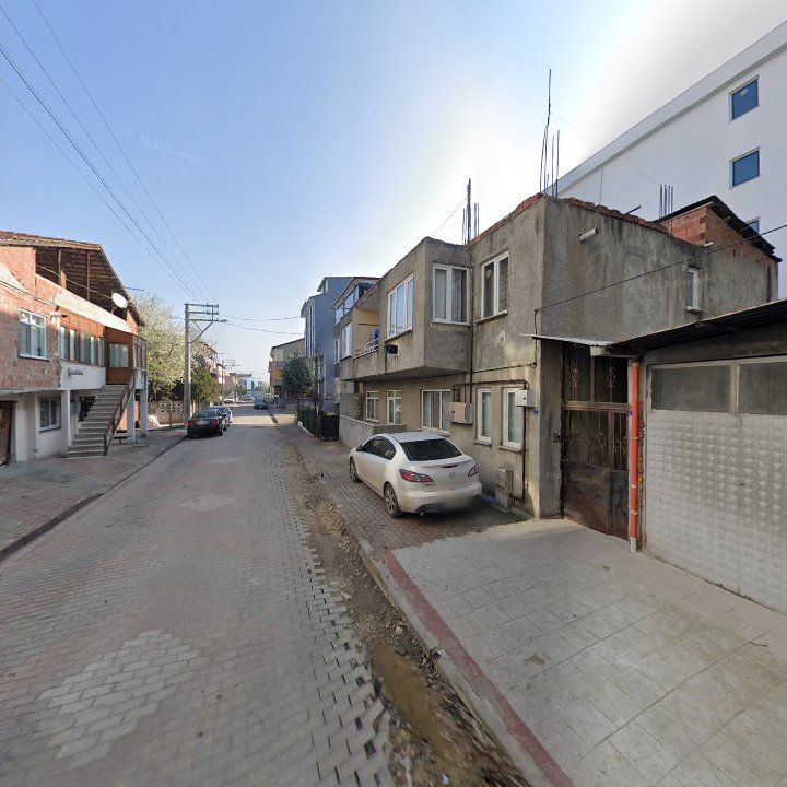 Fotoğraf 7