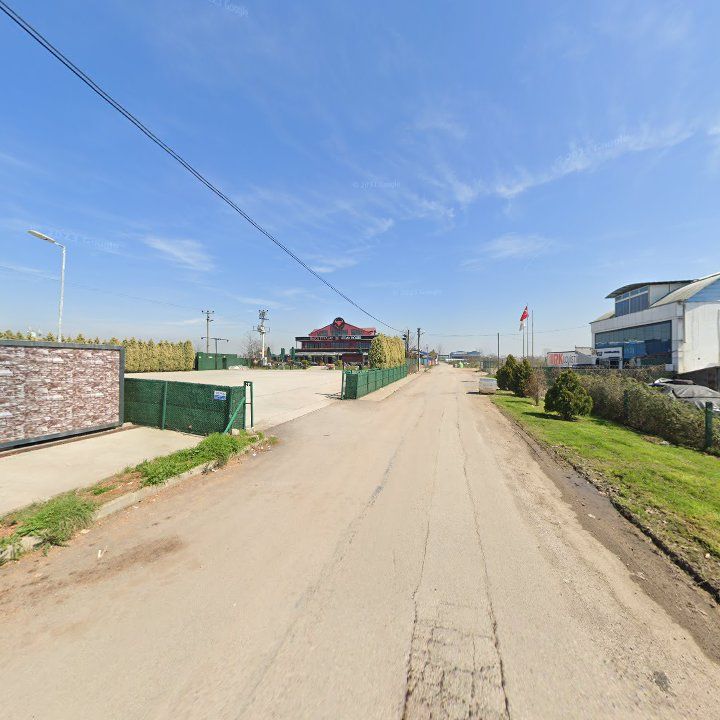 Fotoğraf 10