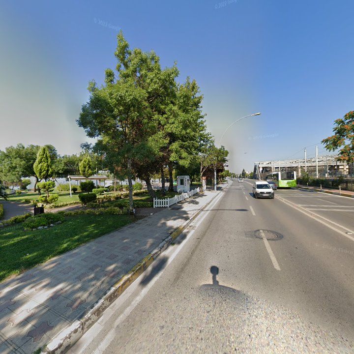 Fotoğraf 10