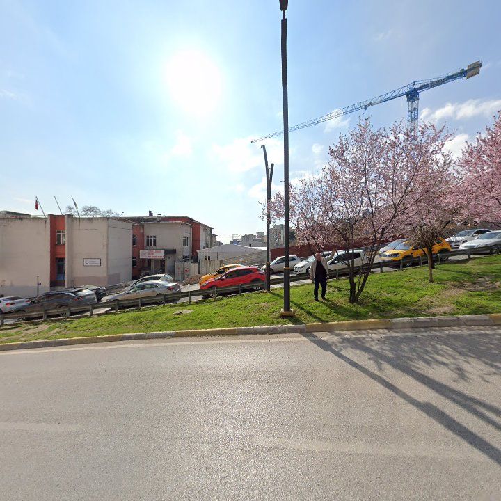 Fotoğraf 12