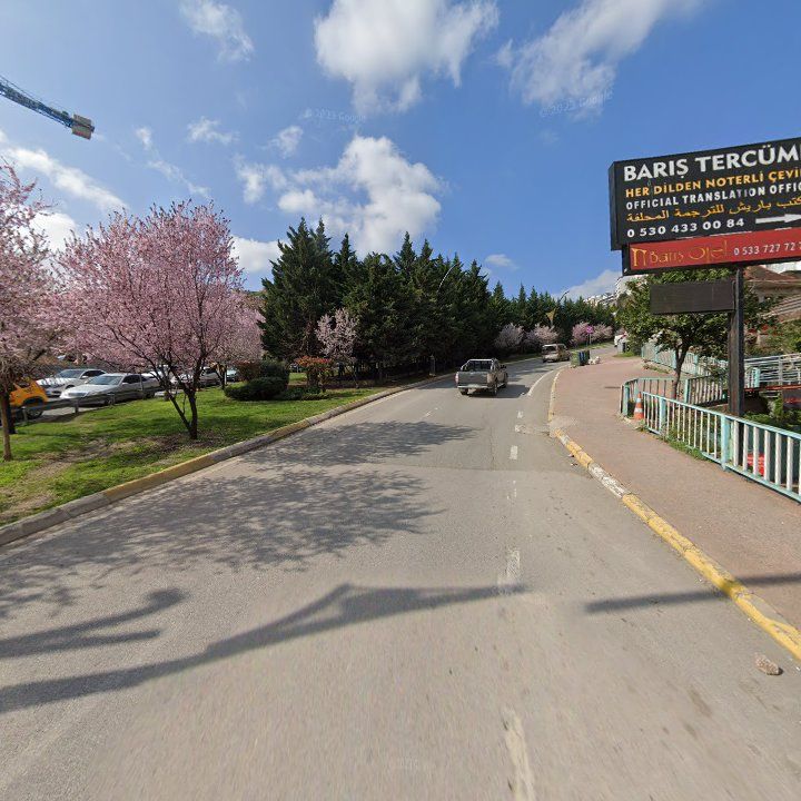 Fotoğraf 13