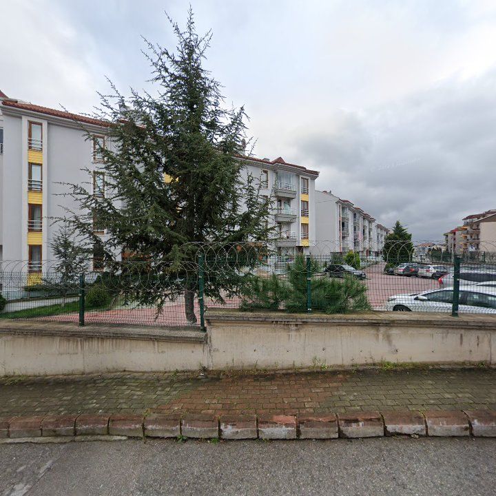 Fotoğraf 13