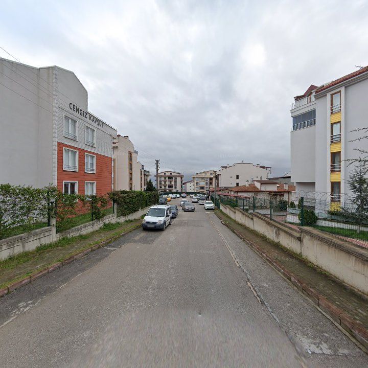 Fotoğraf 12