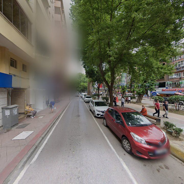 Fotoğraf 11