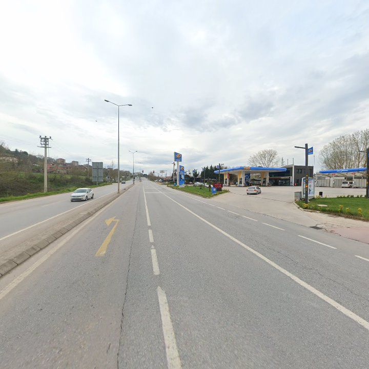 Fotoğraf 11