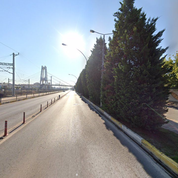 Fotoğraf 12