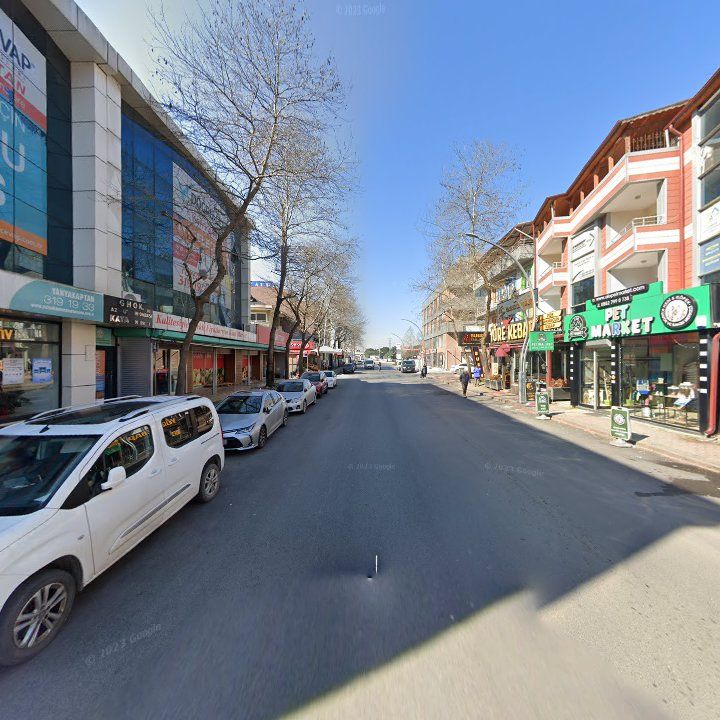 Fotoğraf 13