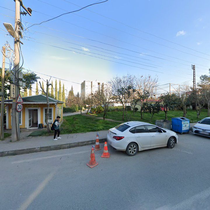 Fotoğraf 11