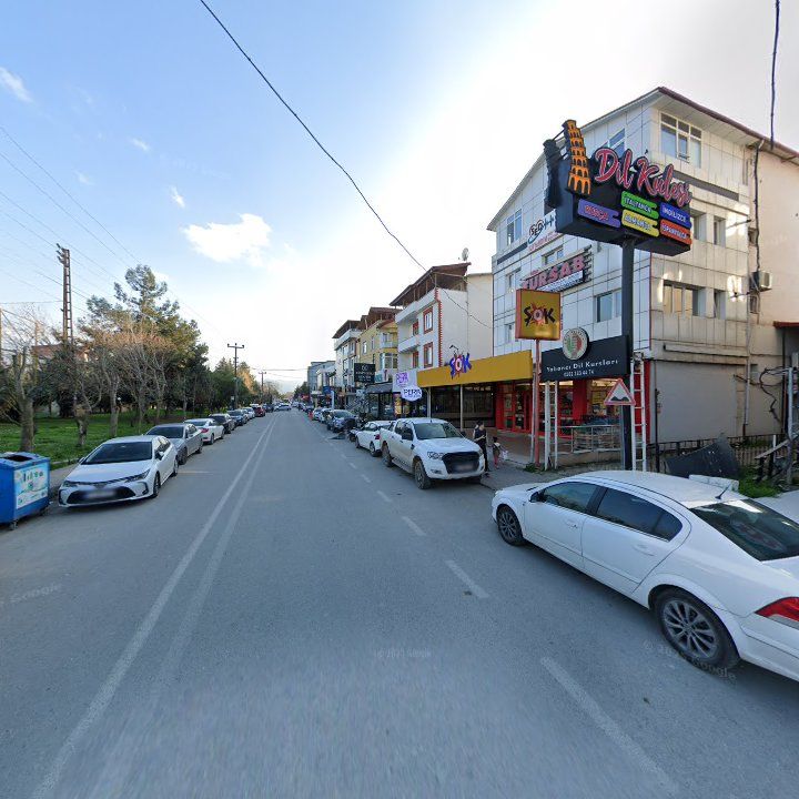 Fotoğraf 12