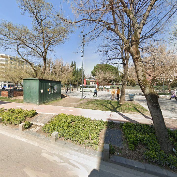 Fotoğraf 7