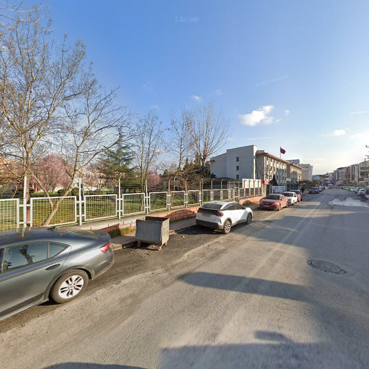 Fotoğraf 11