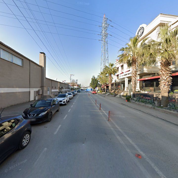 Fotoğraf 6