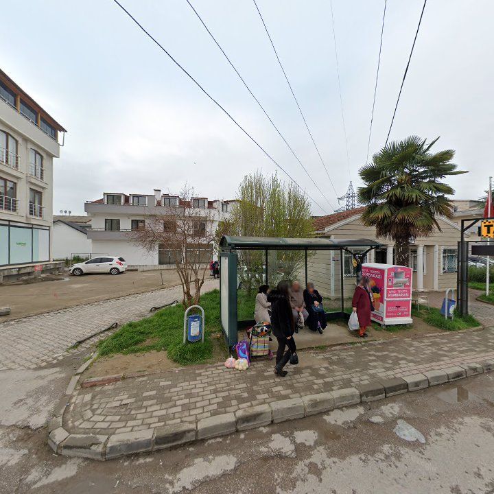 Fotoğraf 3