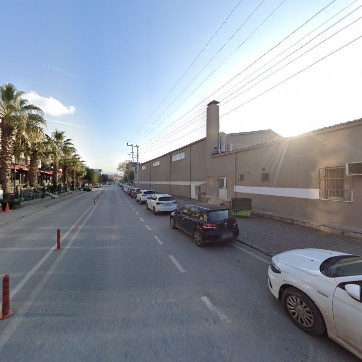 Fotoğraf 15