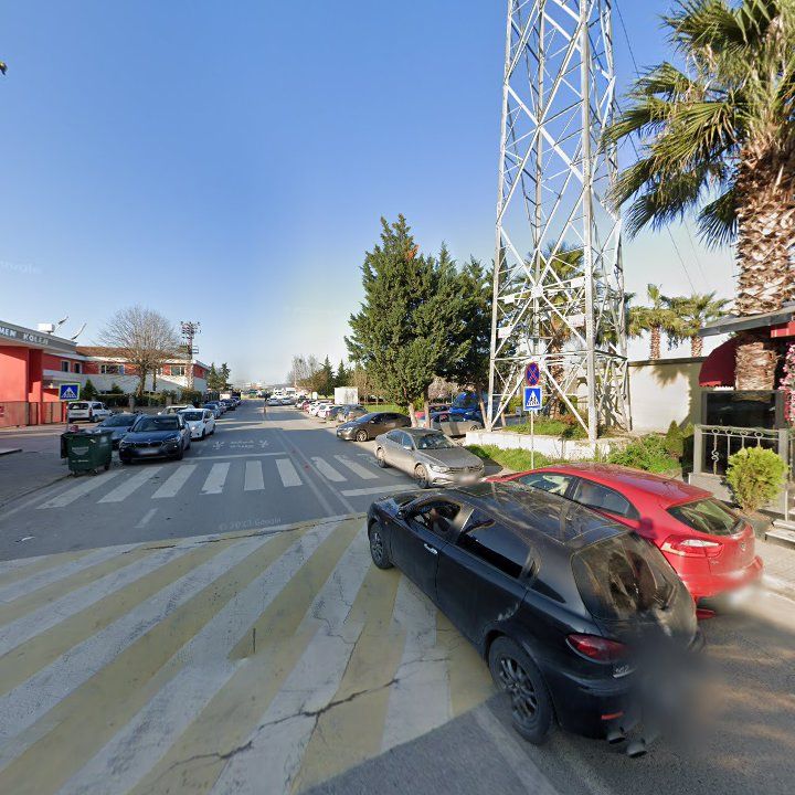 Fotoğraf 17