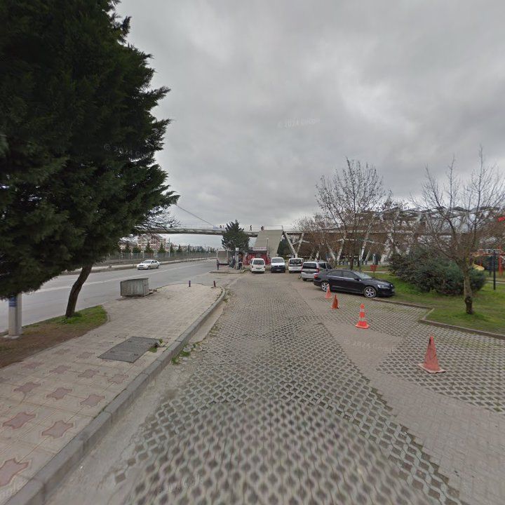 Fotoğraf 9