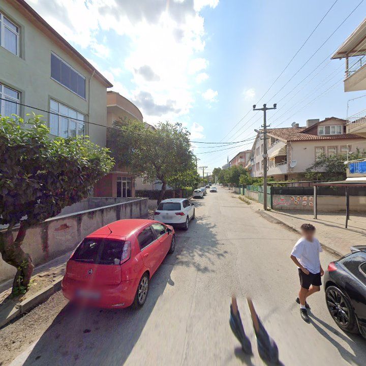 Fotoğraf 10