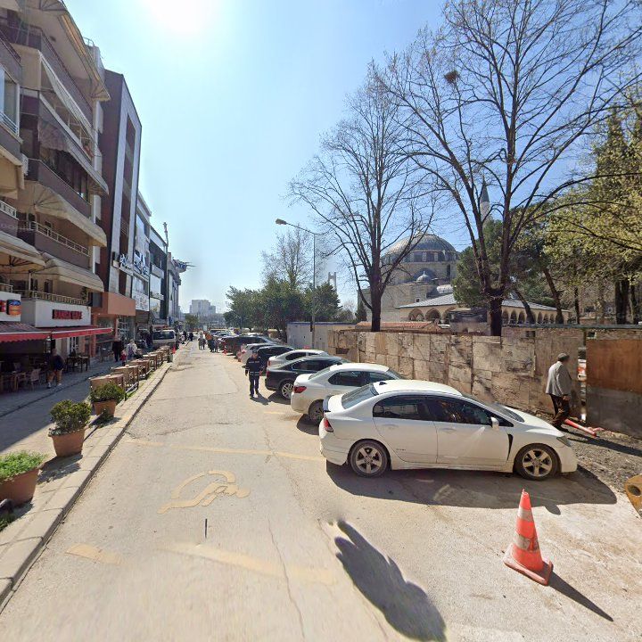 Fotoğraf 8