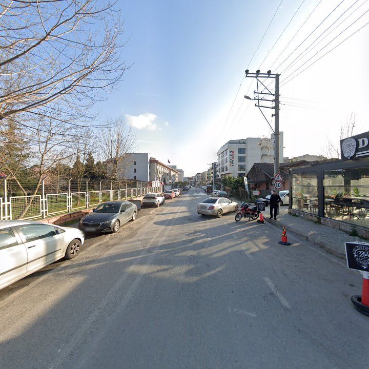 Fotoğraf 10