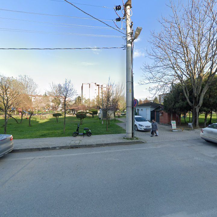 Fotoğraf 13