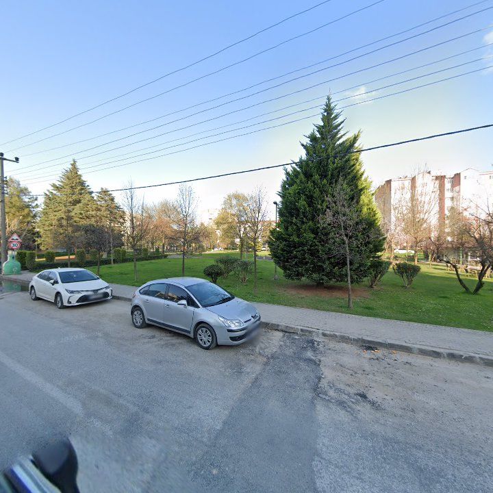 Fotoğraf 11