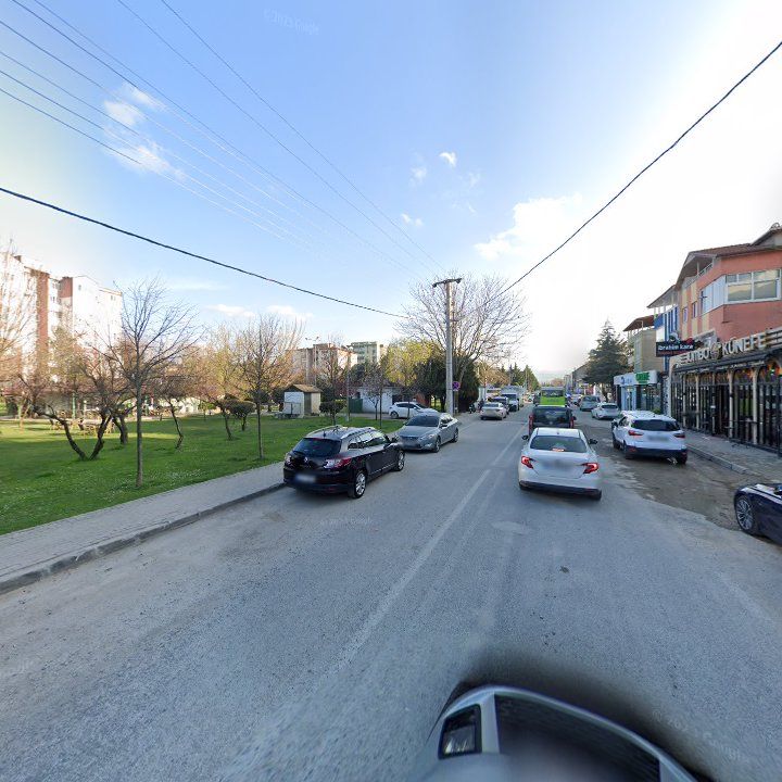 Fotoğraf 12