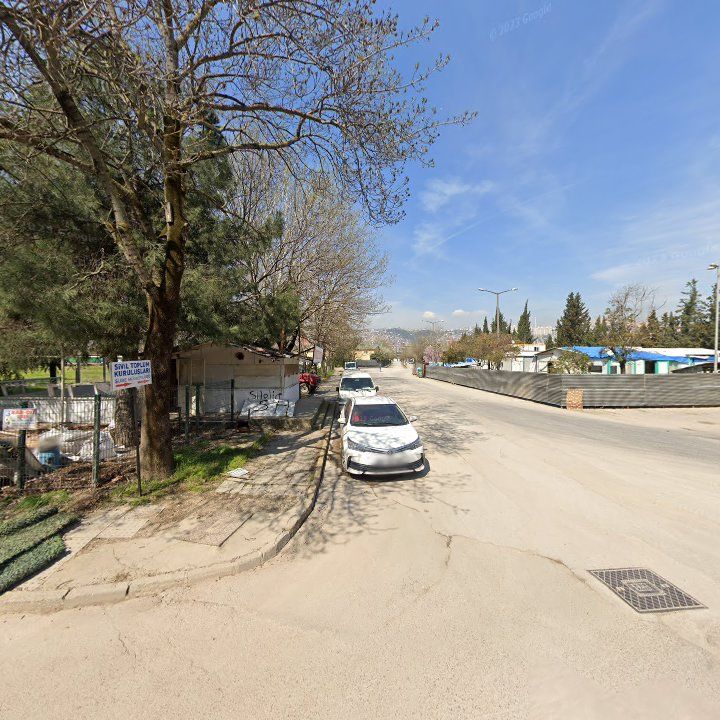 Fotoğraf 9
