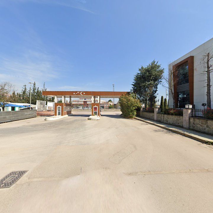 Fotoğraf 10