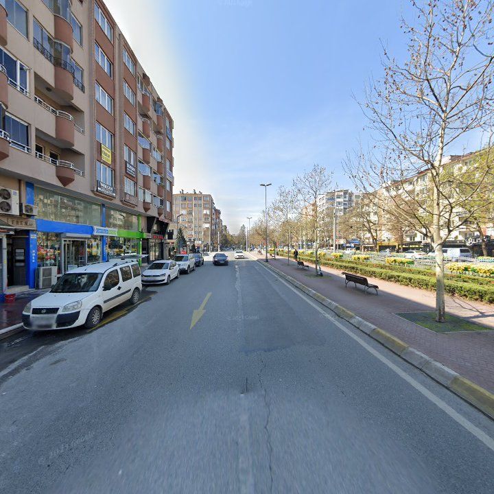 Fotoğraf 9