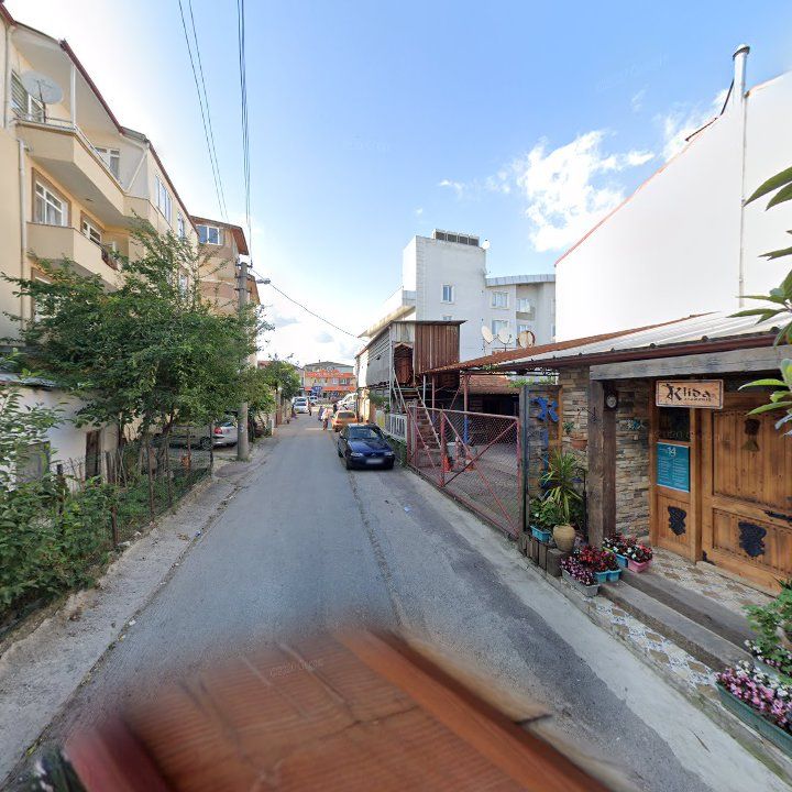 Fotoğraf 16